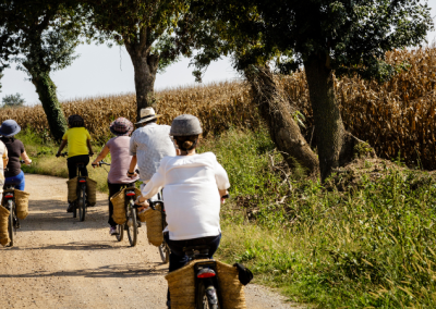 Bike & Boat experience